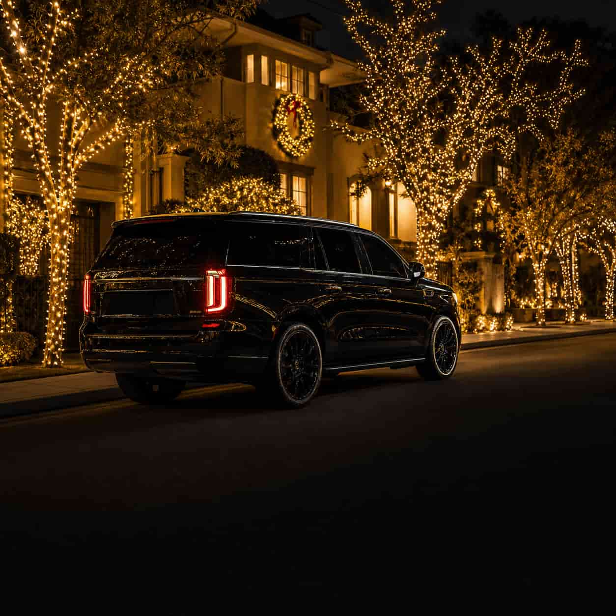 Holiday Lights Tours